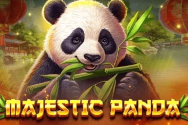 slot hack ဂိမ်းလော်ဘီ Live Casino Slots MMK မြန်မာ ကစားသမားများ မိုဘိုင်းဖုန်းဖြင့် ကစားနေသည့် မြင်ကွင်း